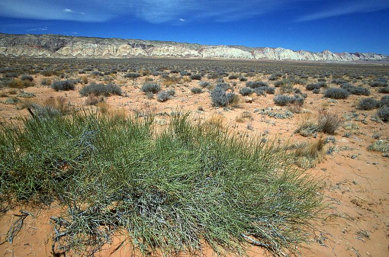 1996-04 Utah Trip 50 San Rafael Swell.jpg